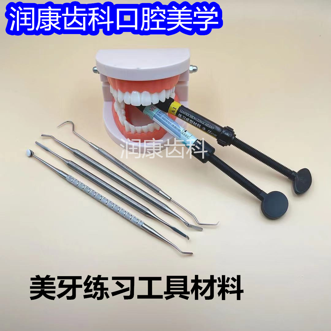 美牙练习工具材料牙缝牙齿模型牙齿美白练习树脂牙模假牙练习模型