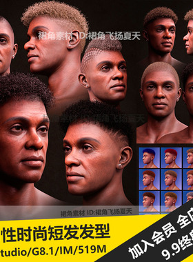 DAZ3D Studio 男性黑人时尚短发碎卷发头发发型模型 游戏3d素材