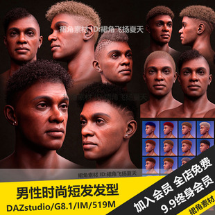 Studio DAZ3D 男性黑人时尚 短发碎卷发头发发型模型 游戏3d素材