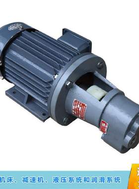LWBZ-40/50/63 1.5KW  2.2KW-B35润滑油泵电机组立卧式