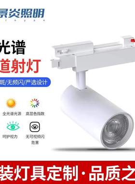 全光谱新款轨道射灯 展厅轨道灯 10W12W18W30W高显指轨道灯