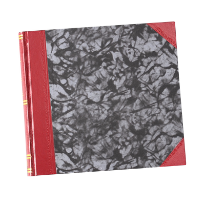 银行存款日记账现金账本立信会计