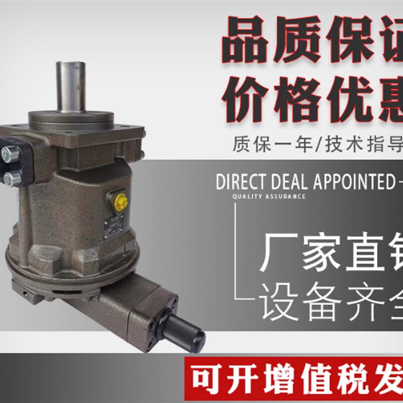 新款HY10Y25Y40Y63Y80Y107Y160Y180Y200Y225Y250YRP LP液压轴包邮