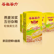 谷粒谷力五谷饮品燕麦早餐奶营养饮料牛整箱谷物早餐奶250ML