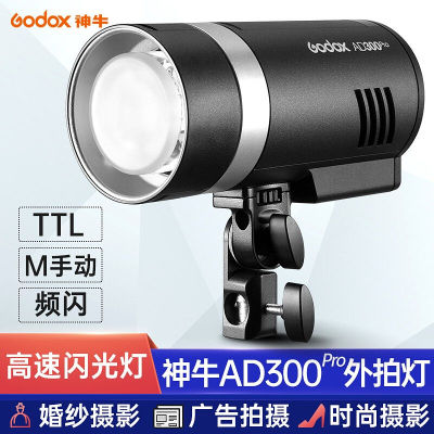 神牛（Godox）AD300PRO外拍闪光灯户外人像模特婚纱影棚摄影灯高
