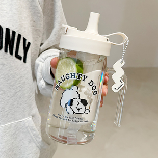 家用可爱茶水分离带吸管杯子 水杯女生大容量高硼硅玻璃杯2024新款