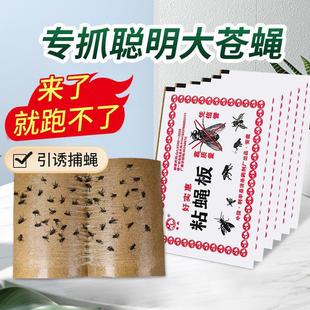 adhesive fly trap Fly board strong sticky catch paper