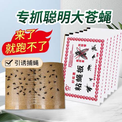 Fly paper, strong adhesive fly trap, sticky board, fly catch