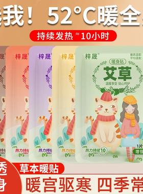 Warm Baby Heating Pads, Palace Warming Patches, Self-Heating