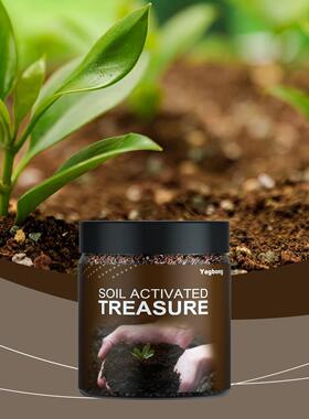 Yegbong Soil Activator - Nutrient-rich mineral soil conditio