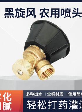 Electric sprayer with atomizing black whirlwind high-pressur