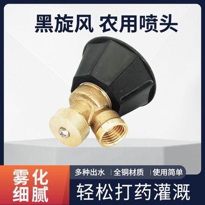 Electric sprayer with atomizing black whirlwind high-pressur