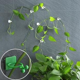 Traceless Adhesive Hooks Green Ivy Wall Climber Fixator Plan