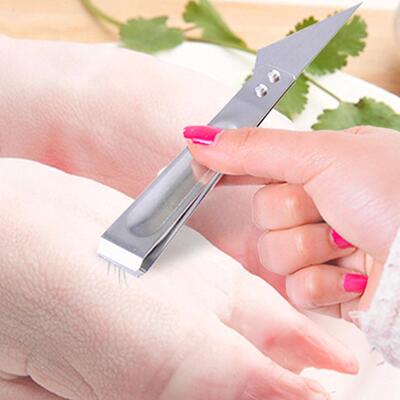 Wholesale多功能不锈钢拔毛器，适用于家庭厨房去除猪、鸡、鸭、