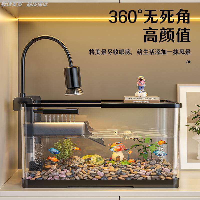 乌龟饲养缸鱼混家用生态造景大别