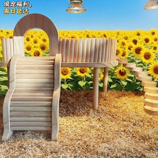 刺猬木桌跳台造景屋笼子装饰品金丝熊躲避宠物仓鼠二层平台芦丁鸡