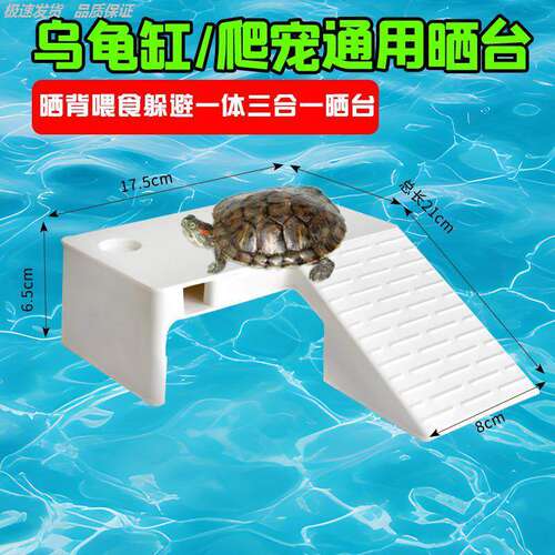 乌龟饲养缸家用鱼客厅小型养乌龟