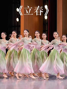 儿童古典舞演出服女童中国舞咏春立春飘逸纱衣少儿练功服舞蹈服装