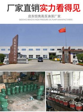 新款10PCY25PCY40PCY63PCY80PCY100PCY160PCY250PCY14-1B轴向包邮