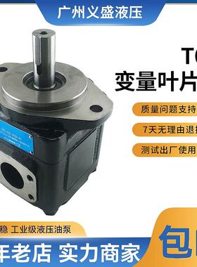 全新高压叶片泵T6D-014/017/020/024/028/031/035-1R00-A1M1包邮