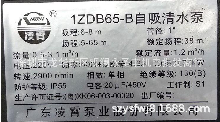 新款1ZDB35 45 65-B家用自来水抽水机管道增压井水自包邮