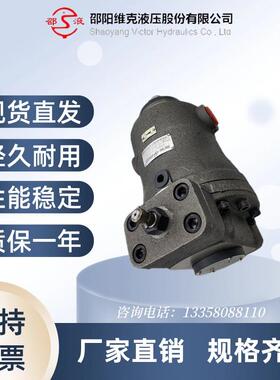 新款液压SY-10/25/32/40/63/80/100SCY14-1E/EL/B 轴包邮