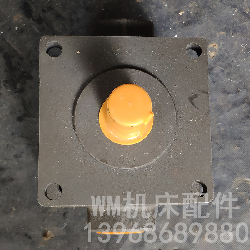 新款M7130H平面磨床油泵 平面磨床叶片泵YB1-100杭机桂北川磨包邮