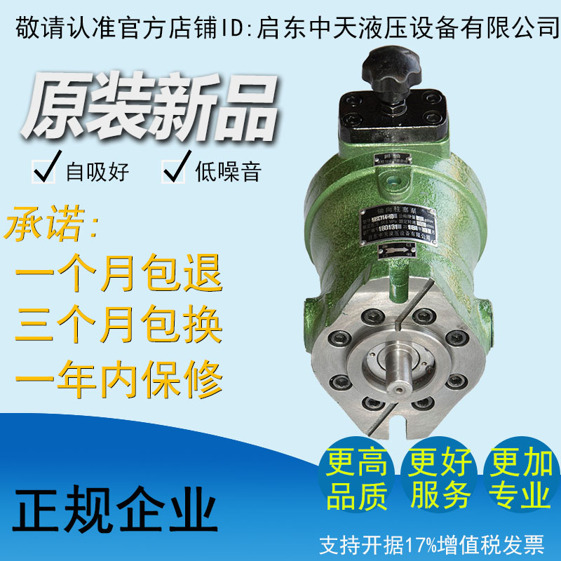 新款10SCY254638-1D轴向