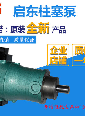 新款10PCY 25PCY 63PCY 80PCY 100PCY 160PCY 250PCY14-1B轴现货