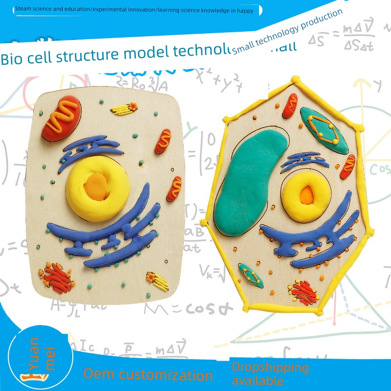 生物作业初高中学动植手工