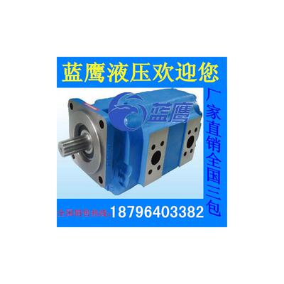 新款P7600-F112 F125 F140 F160齿轮油泵PERMCO天津泊姆克型P包邮