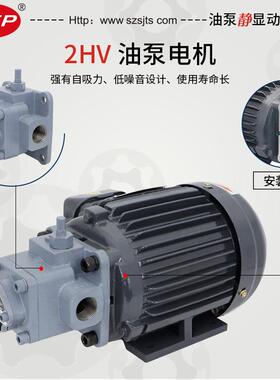 新款厂家直销 摆线 线泵 润滑油泵电机 TOP-2ML400-2HV20-VO包邮