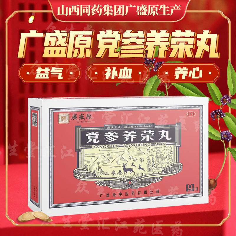 党参养荣丸人参养荣丸浓缩大宁堂大蜜丸十八味党参丸pc