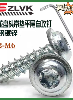 内梅花带垫片自攻大帽螺丝钉蓝白锌大头钉子盘头平尾螺钉M2M3M4M5