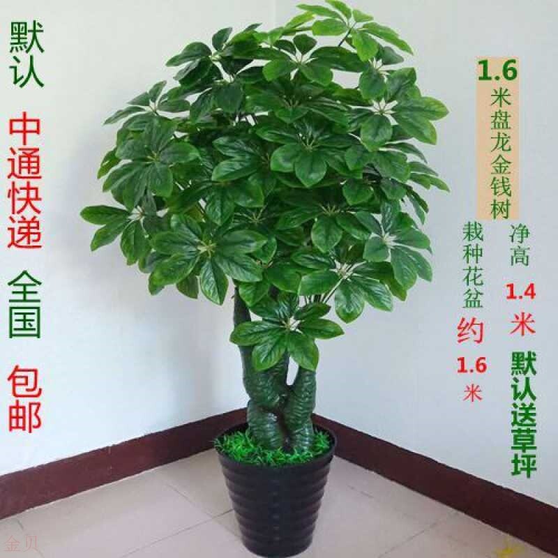 仿真金钱树树绿植室内装饰假花大型落地盆景客厅摆放
