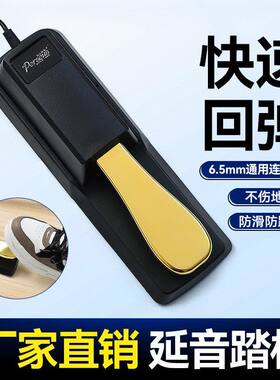 延音踏板电子琴专用脚踏板雅马哈卡西欧罗兰电钢琴MIDI键盘合成器
