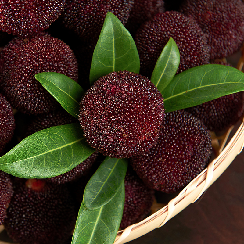 正宗仙居杨梅高山东魁杨梅新鲜水果贡品级乒乓特大杨梅 3斤礼盒装