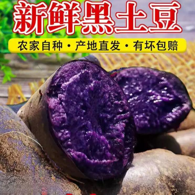 25年新鲜云南丽江紫土豆1黑土土豆