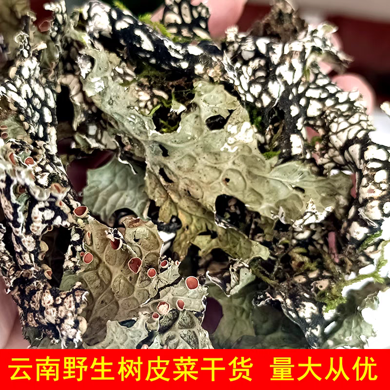 云南楚雄大姚野生树皮菜干菜树蝴蝶野味山货 250g 凉拌越嚼越香