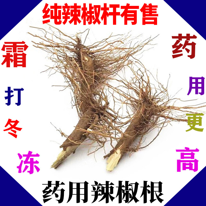 辣椒根 农家小米椒朝天椒辣椒根头秧根经霜降后挖根中药材1斤包邮
