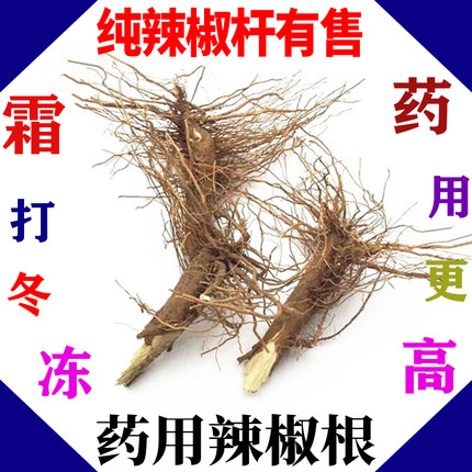 辣椒根 农家小米椒朝天椒辣椒根头秧根经霜降后挖根中药材1斤包邮