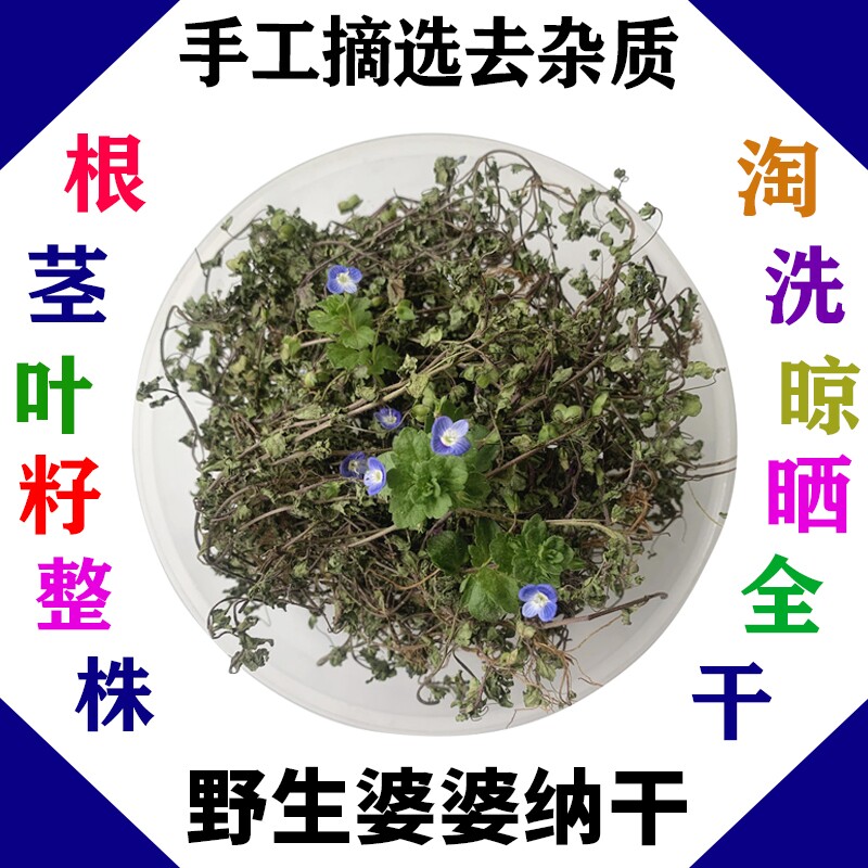 野生婆婆纳草双肾草肾子草卵子草双株草狗卵草中药材干品100g包邮