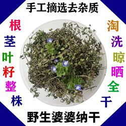 野生婆婆纳草双肾草肾子草卵子草双株草狗卵草中药材干品100g包邮