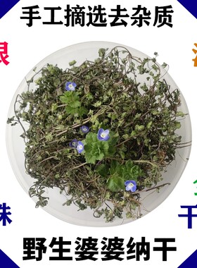 野生婆婆纳草双肾草肾子草卵子草双株草狗卵草中药材干品100g包邮