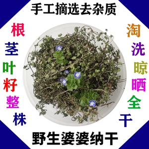 野生婆婆纳草双肾草肾子草卵子草双株草狗卵草中药材干品100g包邮