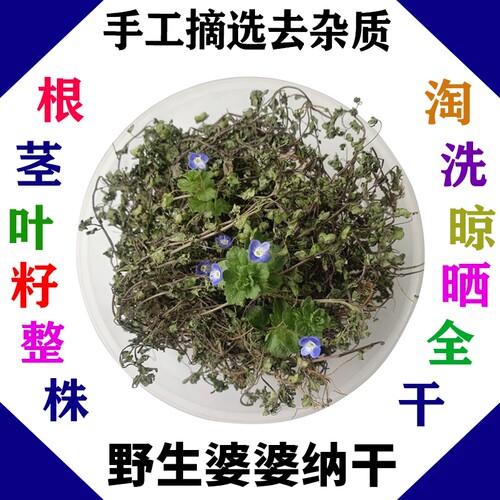 野生婆婆纳草双肾草肾子草卵子草双株草狗卵草中药材干品100g包邮