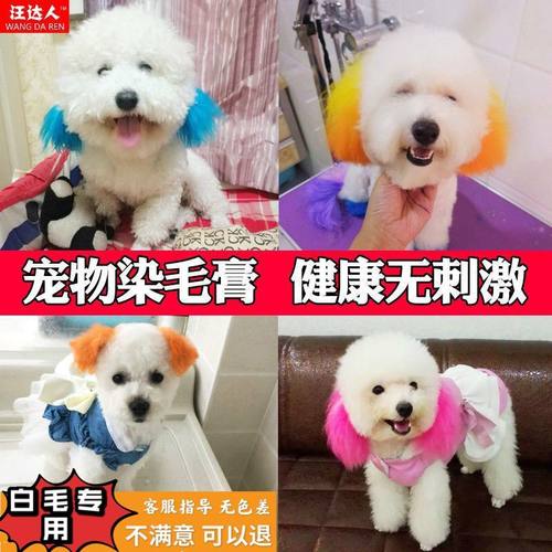 狗狗染色剂染毛膏宠物动物比熊泰