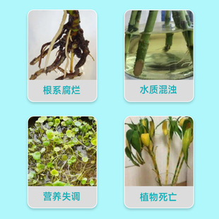 玖龙台水培植营养液免稀释绿萝富贵竹郁金香营养液盆栽生根液花肥
