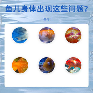 普欣诺鱼康宝斗鱼斑马鱼鲤鱼金龙鱼杀菌消毒液鱼舒康观赏鱼通用