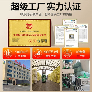 领沃树木涂白剂免稀释40斤直涂型防虫防冻防日灼果树大树枝干刷白